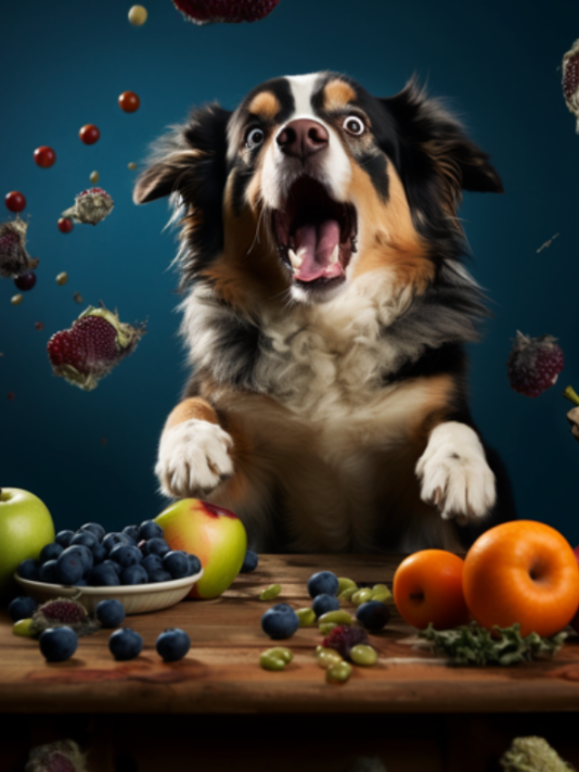 Top 10 Superfoods for Your Dog's Health