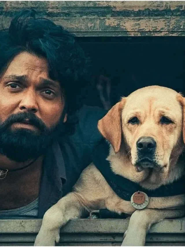 10 Must-Watch Dog Movies